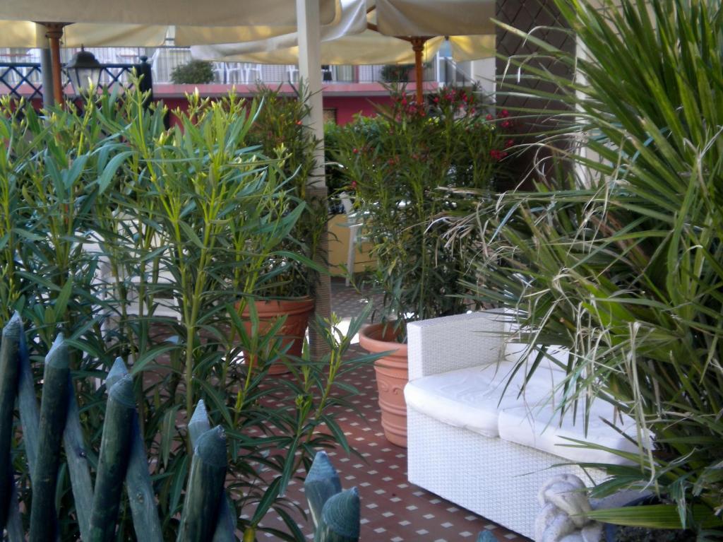 רימיני Hotel Nova Dhely מראה חיצוני תמונה